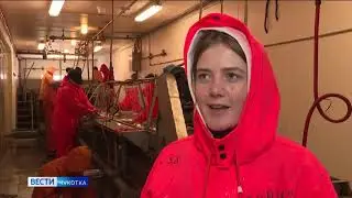Сезон путины на рыбзаводе