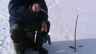 Jigless fishing for the delivery