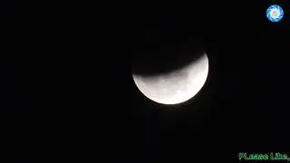 Watch A Blue Moon, Supermoon & Total Lunar Eclipse All In One Pass Over Asia  | In India