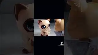 Is beauty all that matters to you? #lps #littlestpetshop #lpscustom