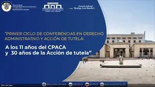 16. A los 11 años del CPACA y 30 años de la Acción de Tutela   Control de constitucionalidad CE
