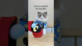 Puff has got the purr-fect solution for measuring your ring finger! 🐾