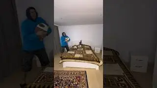 The Cat Thief and the Tire 