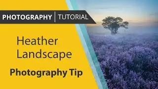 Heather Landscape Photography Tip