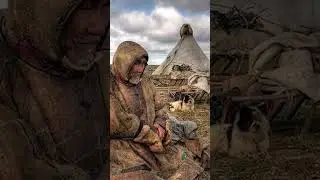 🤔 Свадебные традиции ненцев. Выкуп невесты 