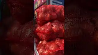 16 серпня 2024 р.