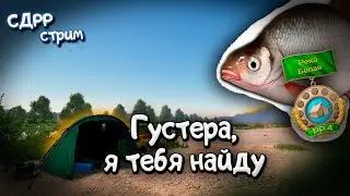 Обязан закрыть ГУСТЕРУ на Белой.  ( Русская рыбалка 4 )