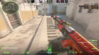 KADİFE BİLEK - CS 2