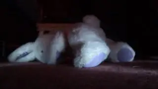 king(16)crush a small rabbit