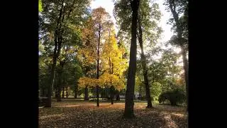 Autumn Beats