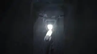 сучка