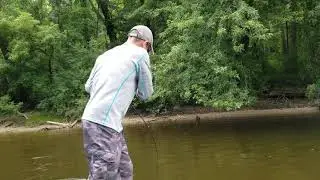 Muskegon River Smallmouth Bass - Michigan