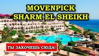 Is it worth the trip? We're reviewing the Movenpick Sharm El Sheikh Naama Bay 5*.