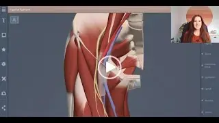 Primal's Anatomy Learning Outcomes for Medicine - sample presentation