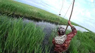 Lowered the camera under the water, and there!!!!!!!!!!!!!!!!!!!!!!!!!!