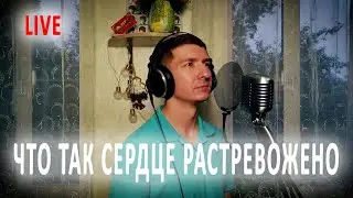 Александр Кинам - Что так сердце растревожено / Живой звук / Live / КИНАМ