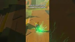EASY(ish) EFFECT TRANSFER GLITCH in Tears of the Kingdom (PATCHED)