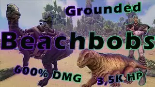 Beachboben bis man nicht mehr kann ! | Grounded ARK Season 10 |