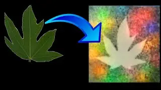 LED Canvas | LED art | Light art