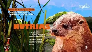 Taller de dibujo para niños | Familias buscando familias de nutrias | Parque Explora