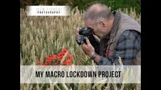 My Macro Lockdown Project 2020