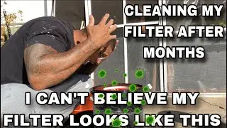 I CAN’T BELIEVE MY FILTER LOOKS LIKE THIS!!