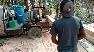 pemangsa balok besar, serkel keliling.(@woodhunter2580)