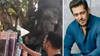 Salman khan Offers water to a monkey | Dabangg 3 | Latest video 2019