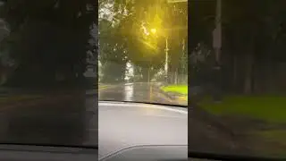 Хило. Ливень. Гавайи