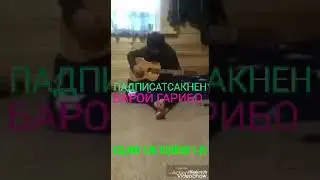 ЧИСТА БАРОЙ ГАРИБО ЛАЙКА ЗЕРКУН ГАРИБАЧА