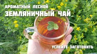 Земляничный чай ручной ферментации. Успейте заготовить ароматный чай, пока цветет земляника