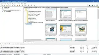 Download all images from website with Extreme Picture Finder