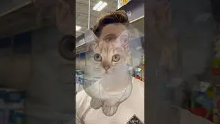 Anything for Milo 