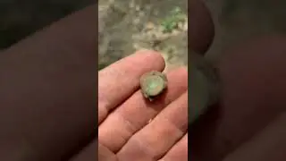 Civil War cartridge box rivets found pt.1 #metaldetecting #metaldetector #detectinghistory #civilwar