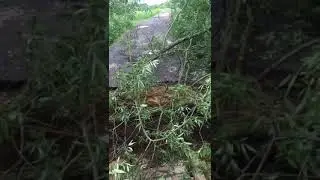 Размыло дорогу и провалилась