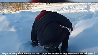 Окуловский район: недовольство среди жителей или недооцененные проблемы?