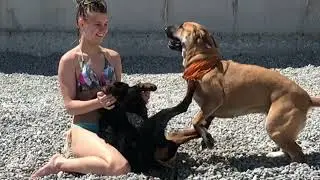 Весной все пляжи dogsfriendly :)