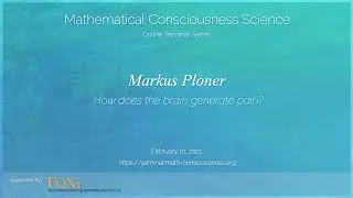 How does the brain generate pain? (Markus Ploner)