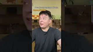 Liceum vs Zawodówka