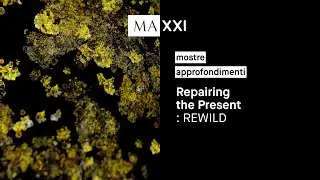 mostre: Repairing the Present : REWILD