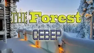 The Forest Север! Стрим.