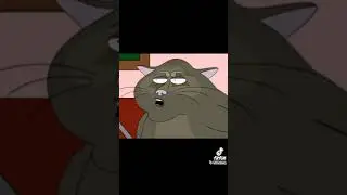 Кот и Бабка