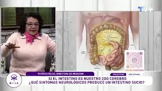 Programa Tv+ con Claudia Conserva, hablando de las consecuencias de mantener un Colon Sucio