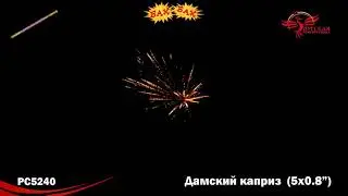 РС5240: Дамский каприз