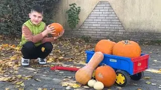🎃 Tomi halloweeni bulija! 🎃