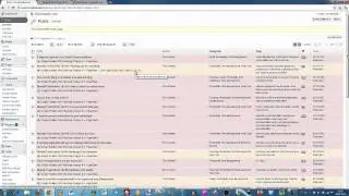 Duplicate Post Plugin