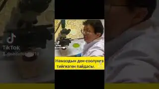14 сентября 2023 г.