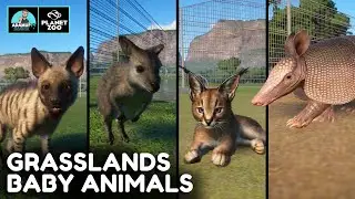 Planet Zoo Grasslands Pack Animal Showcase - NEW DLC ANIMALS!