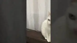 Жиза?  #Юмор  #мем  #рекомендации  #приколы  #школа  #ЕГЭ  #егэ2024