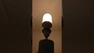 LAMP TURN ON!!!!!